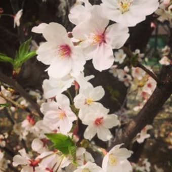 春　４月