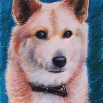 知人の愛犬