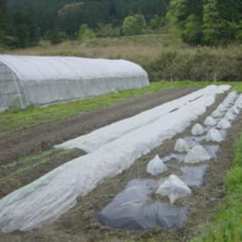 ５月になりました。農繁期・・・。