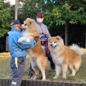 New my friends!