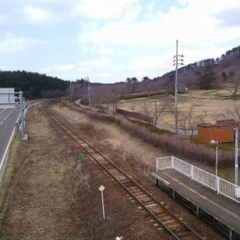 御所の台ふれあいパーク桜開花状況（H29.4.13と14）