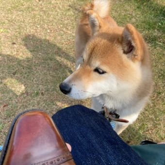休日のルーチン