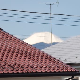 自宅から見える富士山