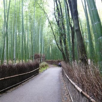 2011年12月3日(土)　野宮神社