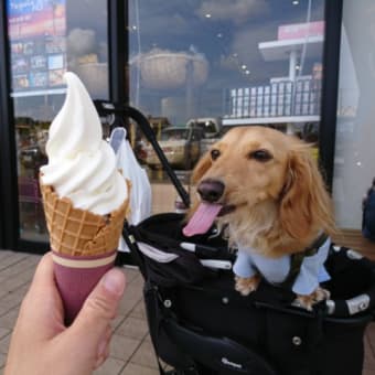 のんびり館山～鴨川旅(千葉県)①