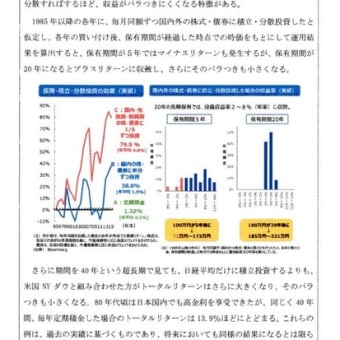 金融庁報告書PDF　2000万円？