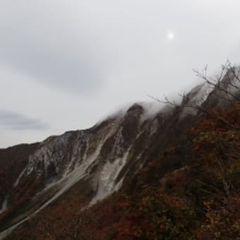 花は盛りに 夢かよふ 花は盛りに 夢かよふ