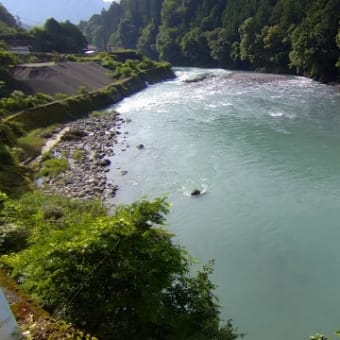 今日の那賀川上流