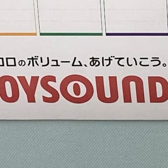 カラオケだ、字が大きい見やすい。