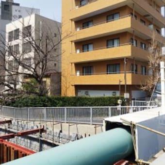 2025桜咲く