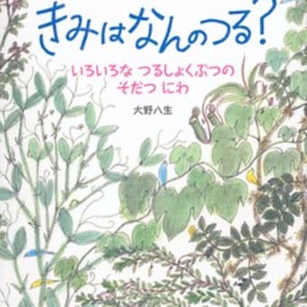 私のおすすめ～♪　2025初版絵本