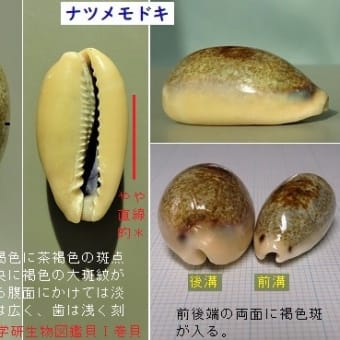 画像一覧 信州自由人 画像一覧 信州自由人
