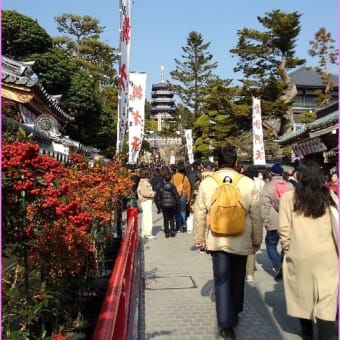 穏やかな新年　かの地ではミサイル