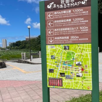 千秋公園の蓮
