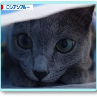 ろしフルーツちゃん。