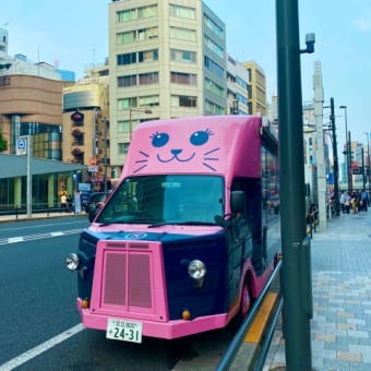 ななづくし🎋 七夕・六本木