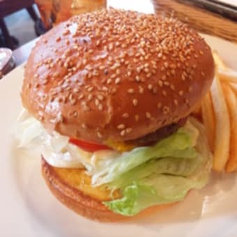 ダイエットのこつ♪ハンバーガー＆中華だったけど体重増加セーフでした（３月１６日のダイエット日記）