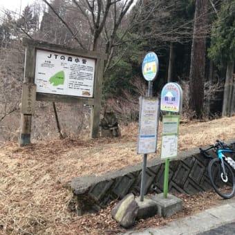 都民の森(22回目)～鶴峠～甲武トンネル