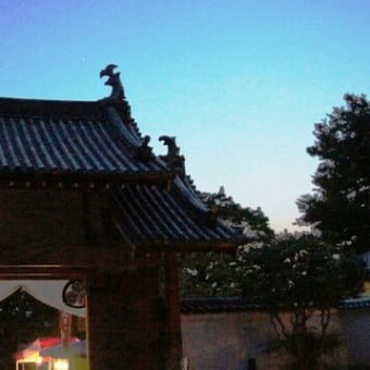 京都 ホタルの名所