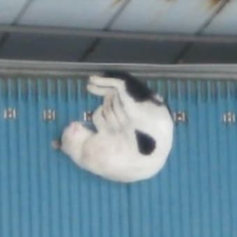 水曜は定休日