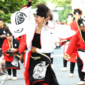 画像一覧 よさこい にかける青春 画像一覧 よさこい にかける青春