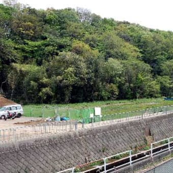 ◆目久尻川親水公園整備計画のための現地視察