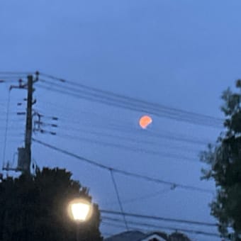 地球にやさしい生活