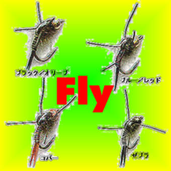 FLY2