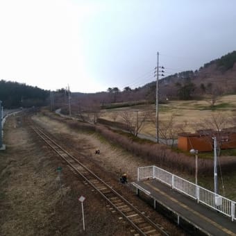 御所の台ふれあいパーク桜開花状況（H29.4.13と14）