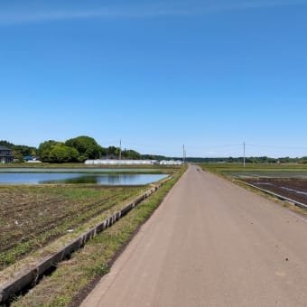 どの人も地球上でもっとも興味深く最高の可能性を秘めている存在なのだ。でもこの事実に気づいている人がいるのだろうか 