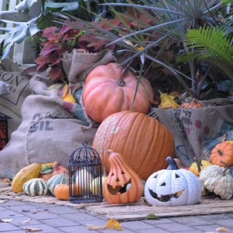 ハロウィンの日　横浜の風景