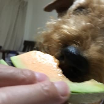 メモ