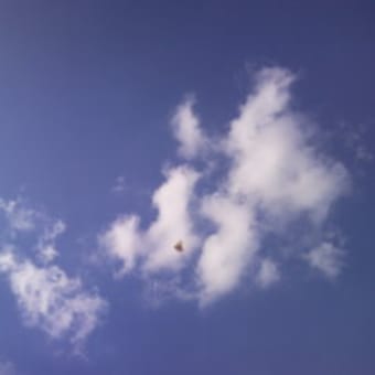 青空に、凧があがる