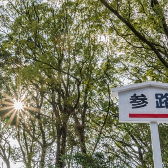 冬の金閣寺