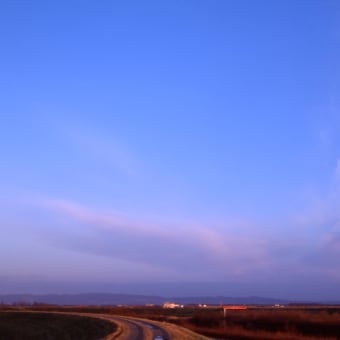 2020/05/31/02 月のある夕空