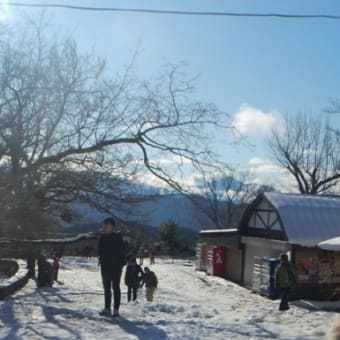 高尾山　初雪のダイアモンド冨士