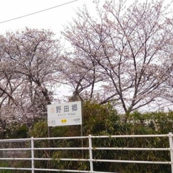 孫＆バアバの「肥薩おれんじ鉄道一日フリー切符」鉄旅