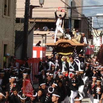 岸和田だんじり祭