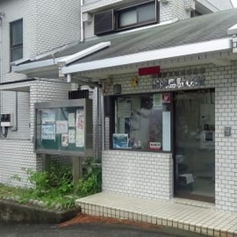 伊豆諸島８島制覇の旅《後編》　八丈島・御蔵島・三宅島・伊豆大島４島めぐり　１１回目　御蔵島