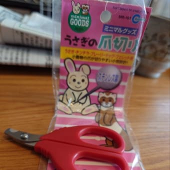 モカちゃんの爪切り✂️