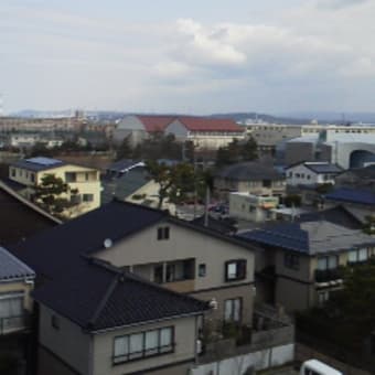 春めいて来ました！