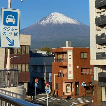 寒太郎くんは暴れ馬