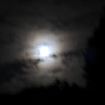おぼろ月夜