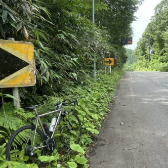 下小鳥ダム〜丹生川ダム周回114kmへ。