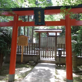 京都　法輪寺電電宮大祭　23日