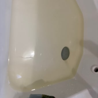 やっとはずせた