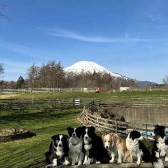 2024年春　みんなで富士山へ行こう！！　その5 ワフで爆走！