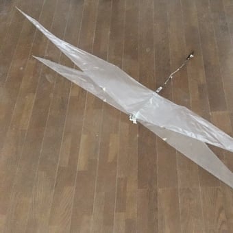 Verti-X-Wing ホバリング羽ばたき機