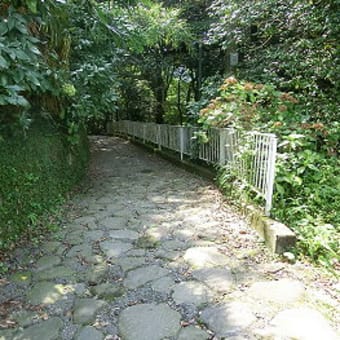箱根旧街道、石畳現る！