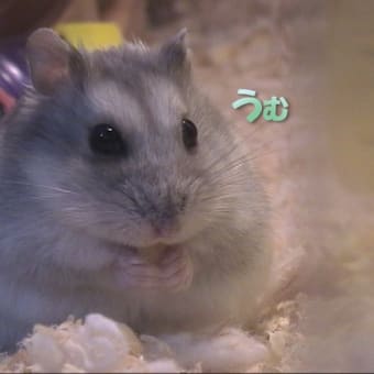 「ご満足していただけましたでしょうか」って？